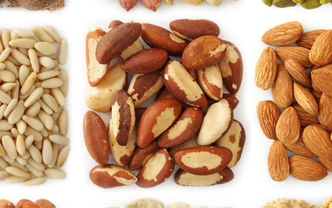 “Unlocking the Nutritional Powerhouse: Exploring the World of Dry Fruits, Nuts, Seeds, and Berries”
